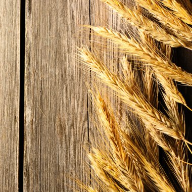 Çavdar spikelets ahşap arka plan üzerinde