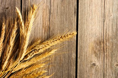 Çavdar spikelets ahşap arka plan üzerinde