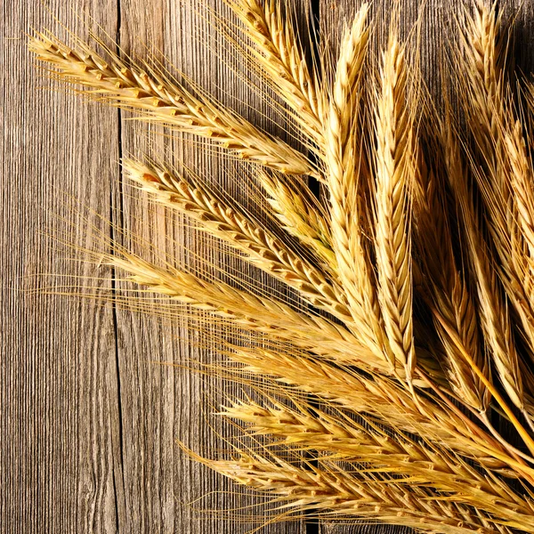 Rye spikelets over wooden background — Stock Photo, Image