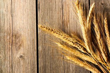 çavdar spikelets