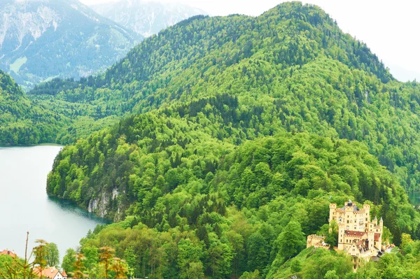 Landscape with castle of Hohenschwangau in Germany Royalty Free Stock Photos