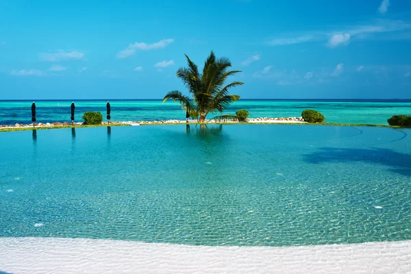 Luxo piscina tropical — Fotografia de Stock