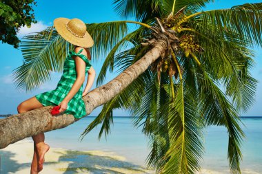 kadın ve palmiye ağacı