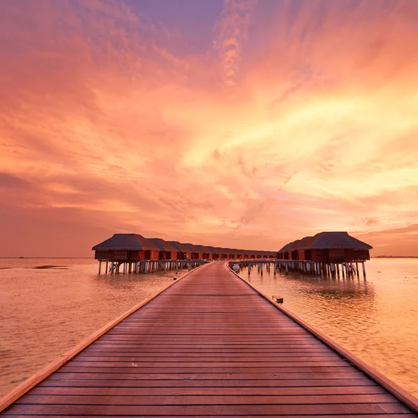 Maldivian sahilinde gün batımı — Stok fotoğraf