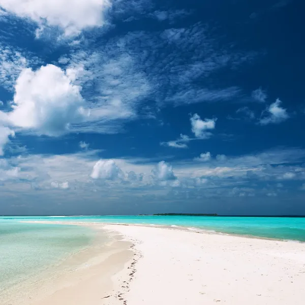 Sandspit Maldivler ile güzel bir plaj — Stok fotoğraf