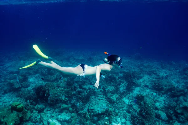 Nő a snorkeling maszk — Stock Fotó