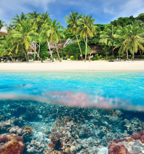 Pantai dengan pemandangan terumbu karang bawah air — Stok Foto