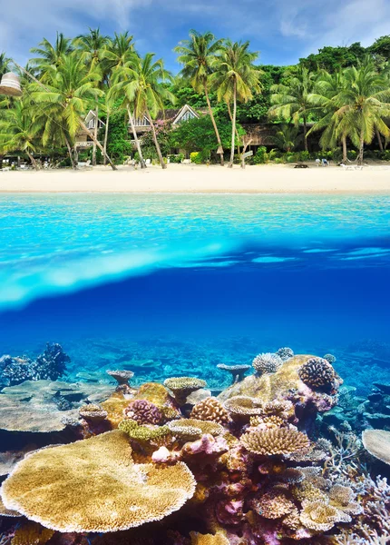 Beach with coral reef underwater view — Stock Photo, Image