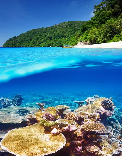 Beach with coral reef underwater view — Stock Photo, Image