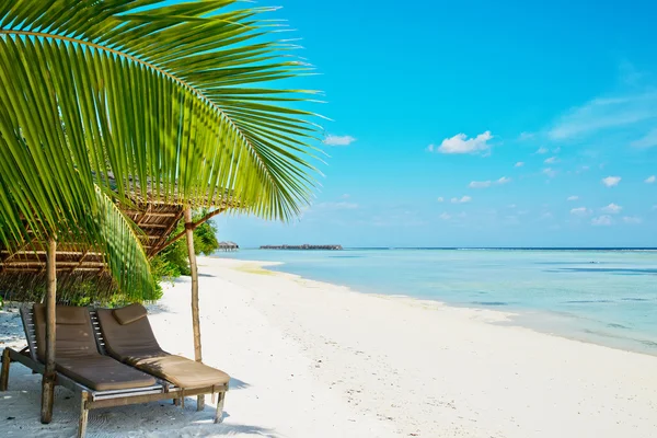 Vacker strand på Maldiverna — Stockfoto