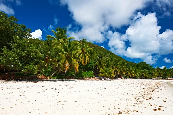 Playa en Seychelles — Foto de Stock