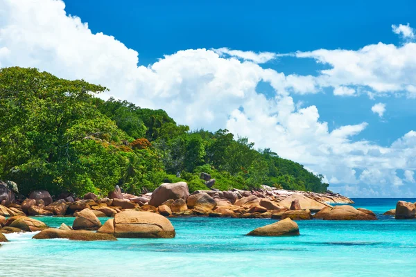 Bella spiaggia alle Seychelles — Foto Stock