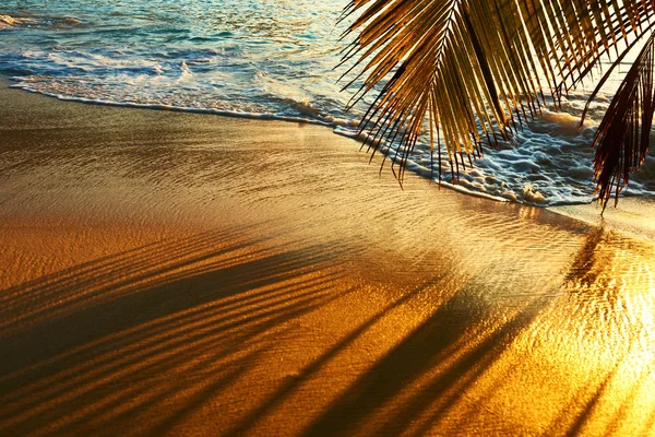Pôr do sol nas Seychelles — Fotografia de Stock