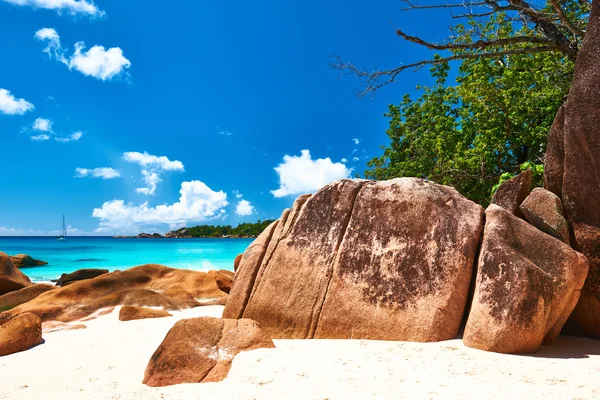 Beach at Seychelles — Stock Photo, Image