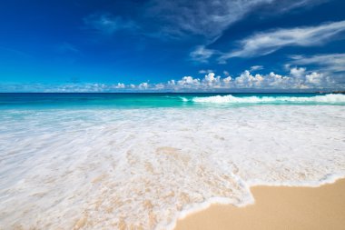 Seyşel Adaları plajda