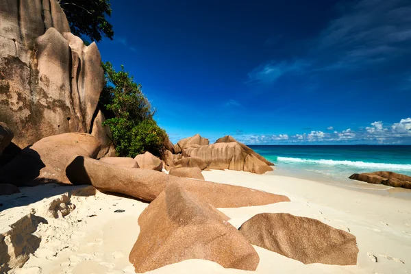 Praia em Seychelles — Fotografia de Stock