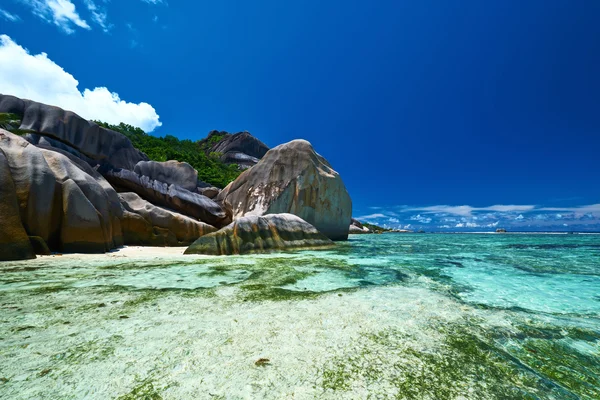 Plage aux Seychelles — Photo