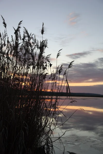 Solnedgång — Stockfoto