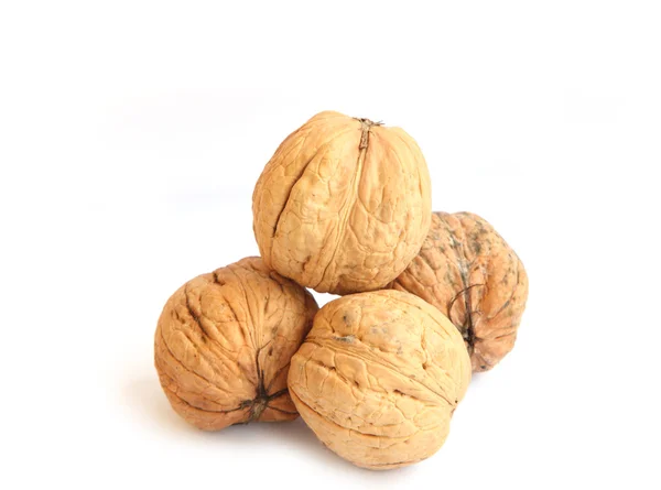 Walnut — Stock Photo, Image