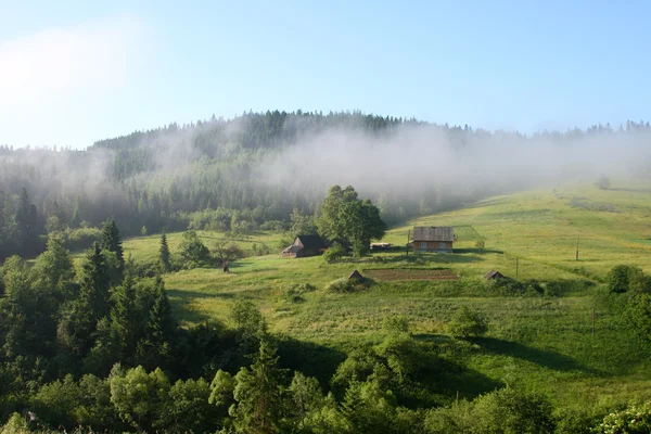 Montagne carpatiche — Foto Stock