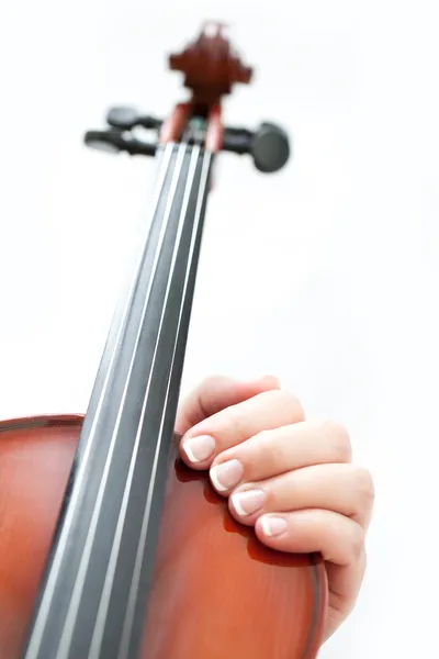 Violín. — Foto de Stock