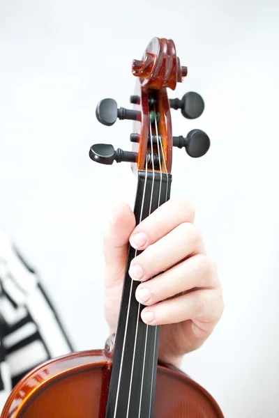 Violino — Foto Stock