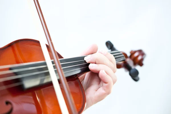 Violino — Fotografia de Stock