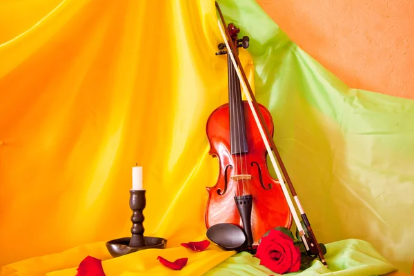 Violin — Stock Photo, Image