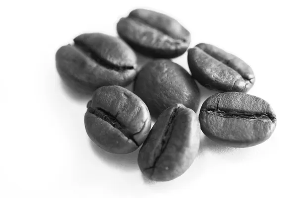 Kaffebønner – stockfoto