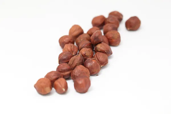 Hazelnut — Stock Photo, Image