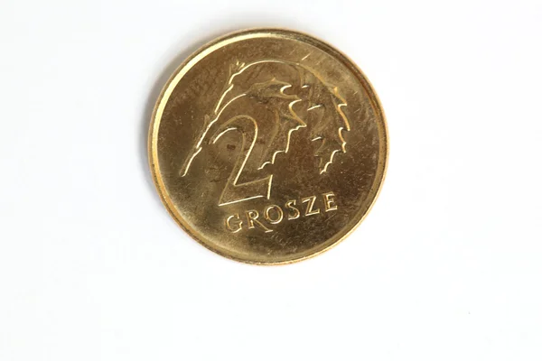 Polske penge - Stock-foto