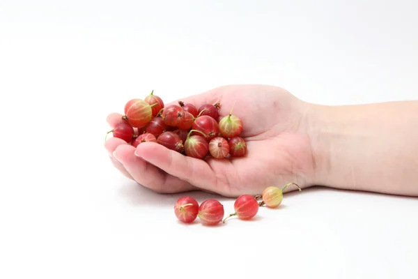 Gooseberry — Stock Photo, Image