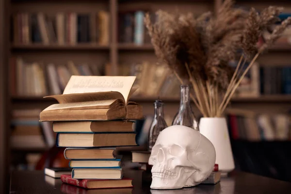 Books Gypseous Skull Table Bookshelf Background — Stock Photo, Image