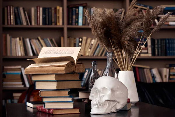 Books Gypseous Skull Table Bookshelf Background — Stock Photo, Image