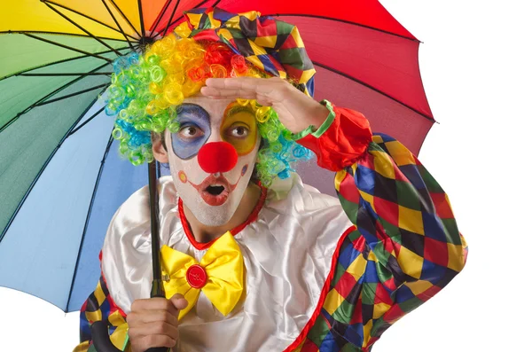 Buffo clown sul bianco — Foto Stock