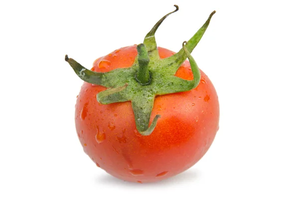 Frische Tomaten isoliert auf der weißen — Stockfoto