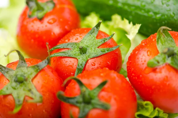 Komkommers en tomaten klaar voor salade — Stockfoto