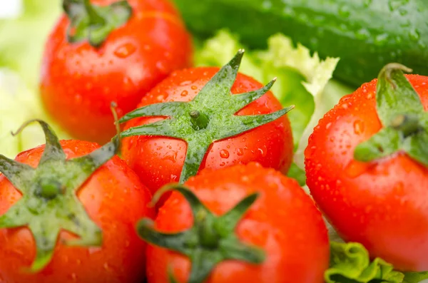 Cucumbers and tomatoes ready for salad — Zdjęcie stockowe