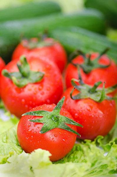 Tomates y pepinos listos para la ensalada — Foto de Stock