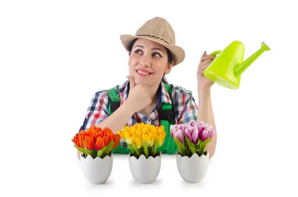 Menina regando plantas em branco — Fotografia de Stock