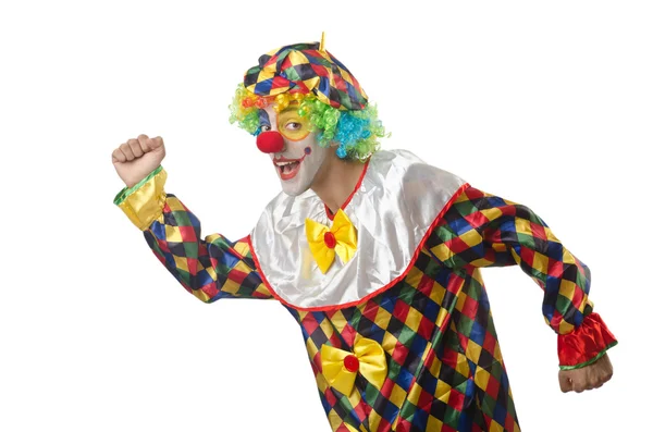 Lustiger Clown auf dem weißen — Stockfoto