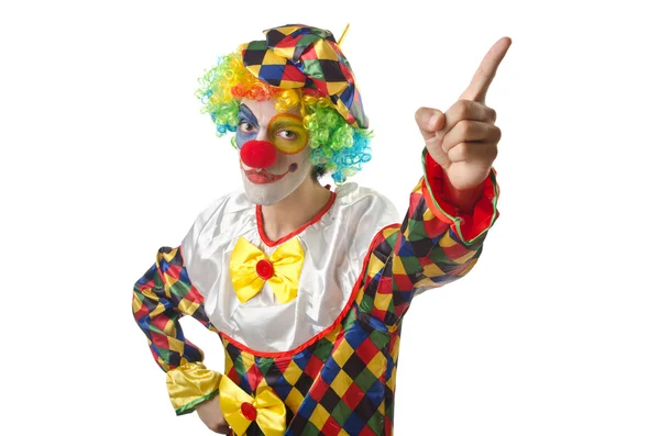 Buffo clown sul bianco — Foto Stock