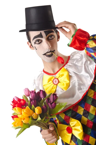 Trieste clown op de witte — Stockfoto