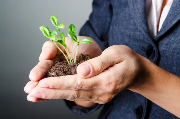 Geschäftsfrau mit Setzlingen und Münzen — Stockfoto