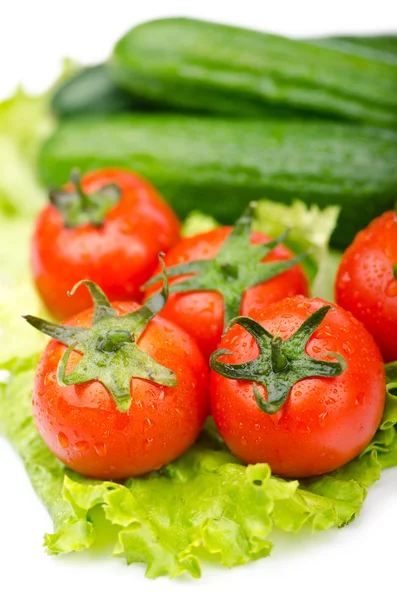 Pepinos e tomates prontos para salada — Fotografia de Stock