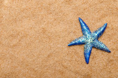 Deniz yıldızı kum üzerinde