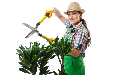 Woman gardener trimming plans on white clipart