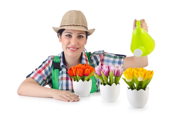 Girl watering plants on white — Stock Photo, Image