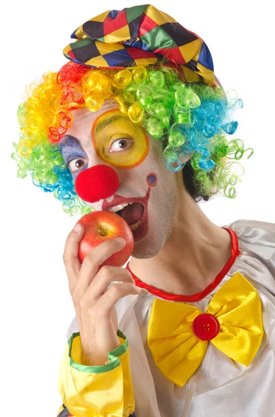 Grappige clown op de witte — Stockfoto