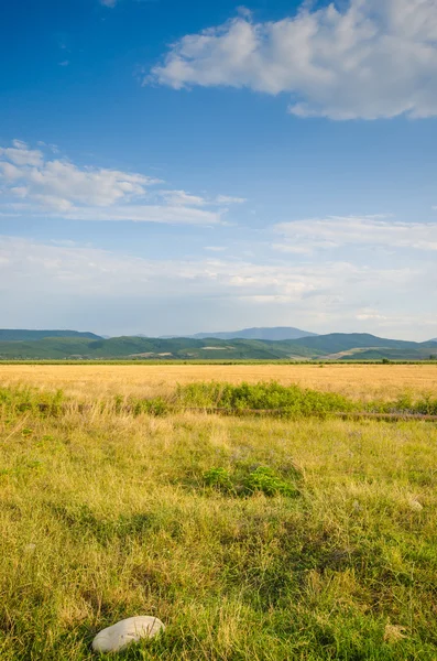 Paisagem rural maçante na noite de verão — Fotografia de Stock